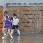 Mini-maxi fudbalska liga Mini-maxi fudbalska liga
