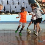 Mini-maxi fudbalska liga Mini-maxi fudbalska liga