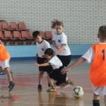 Mini-maxi fudbalska liga Mini-maxi fudbalska liga