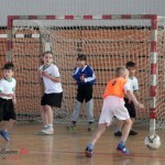 Mini-maxi fudbalska liga Mini-maxi fudbalska liga