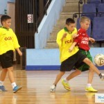 Mini-maxi fudbalska liga