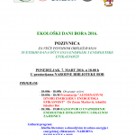 Bor obeležava Dan energetske efikasnosti