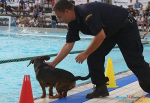 Vaterpolo : Počeo turnir Bor 2016