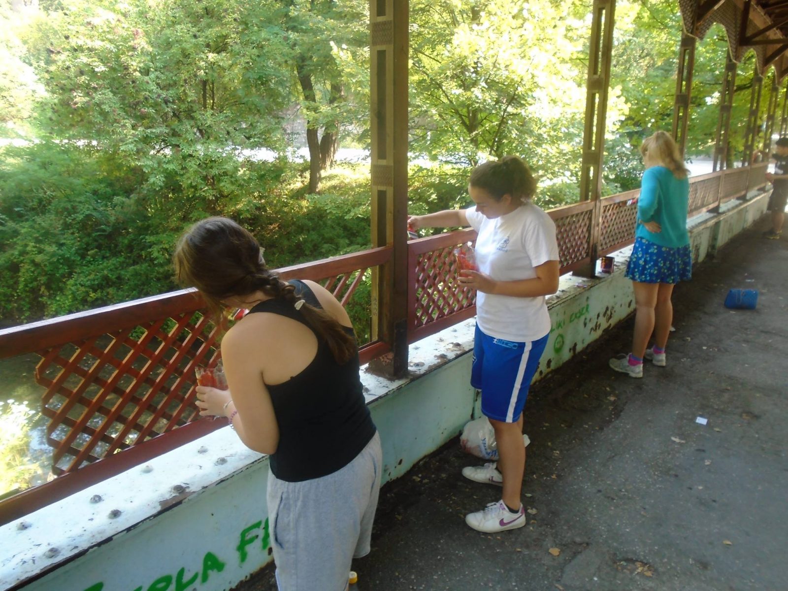 Akcijaši i istraživači ponovo na terenima Bora i Borskog jezera Akcijaši i istraživači ponovo na terenima Bora i Borskog jezera