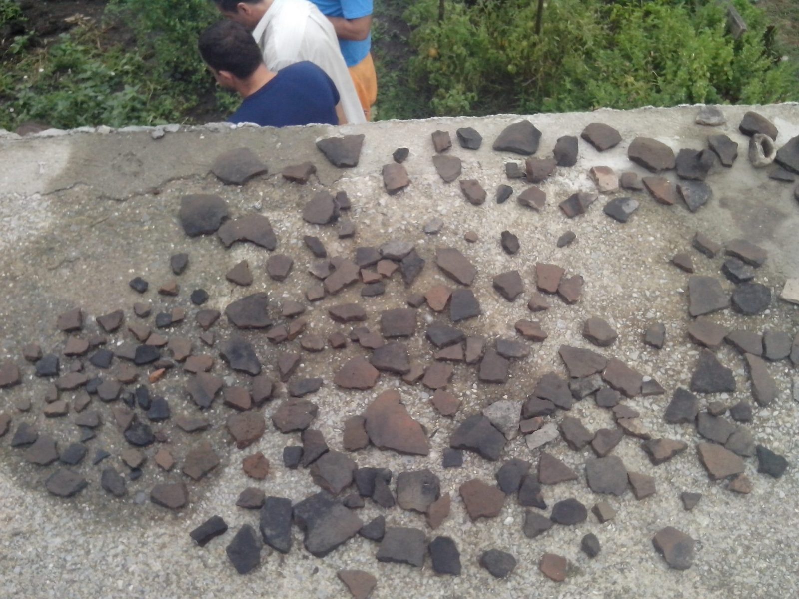 Akcijaši i istraživači ponovo na terenima Bora i Borskog jezera Akcijaši i istraživači ponovo na terenima Bora i Borskog jezera
