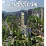 Taj divni Bor