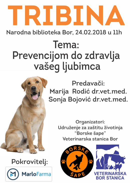 Borske šape o zdravlju vaših kućnih ljubimaca