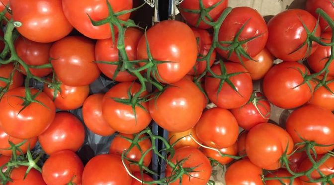 Poljoprivredni radovi u novembru