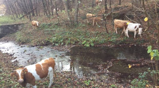 Produžen rok za podnošenje zahteva za poljoprivredne kredite