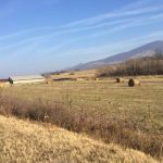 Produžen rok za podnošenje zahteva za poljoprivredne kredite