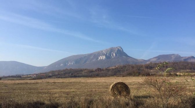 Produžen rok za podnošenje zahteva za poljoprivredne kredite