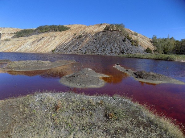 Šta možemo učiniti za budućnost