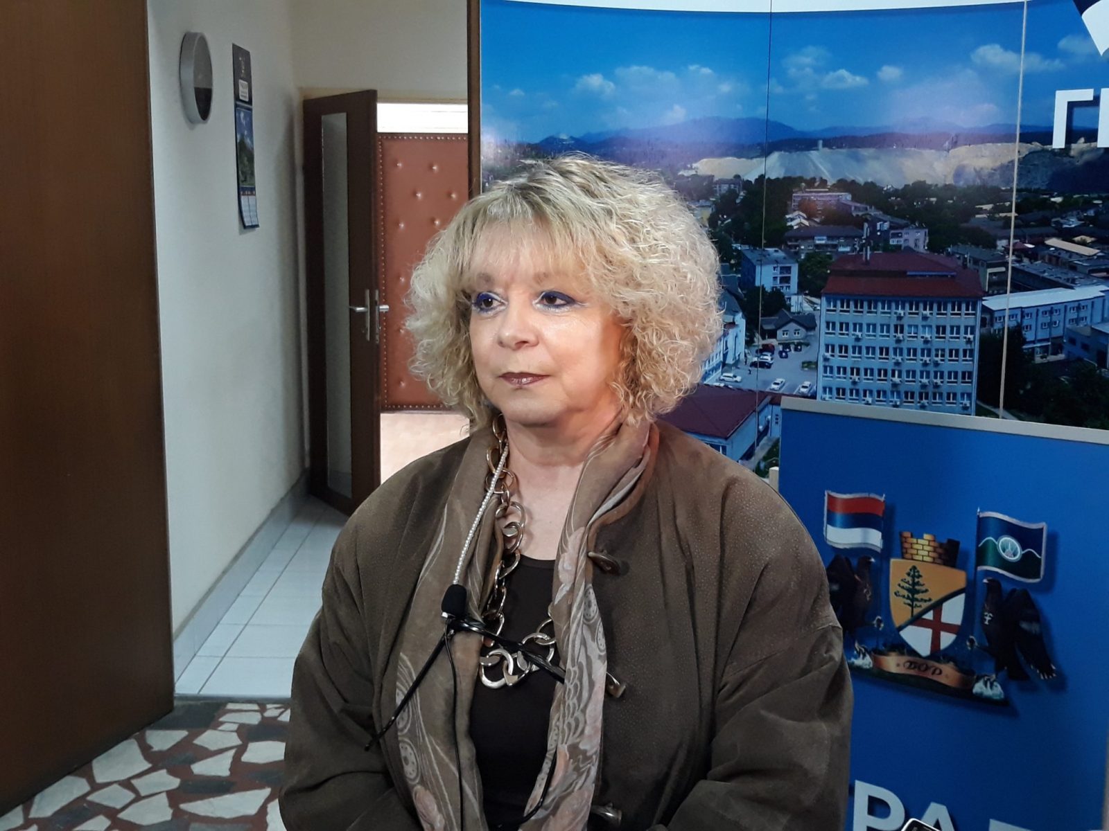 BOR: Korona virus - COVID-19 - Sednica saveta bez medija