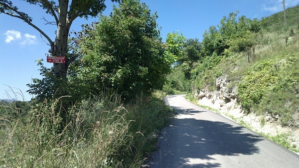 Početak ekološke kataklizme na planini Stol