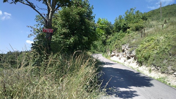 Početak ekološke kataklizme na planini Stol