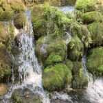 Decembar je Mesec voda – zaštitimo naše reke i jezera