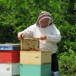 50 godina od bratimljenja Bora i francuskog Krezoa